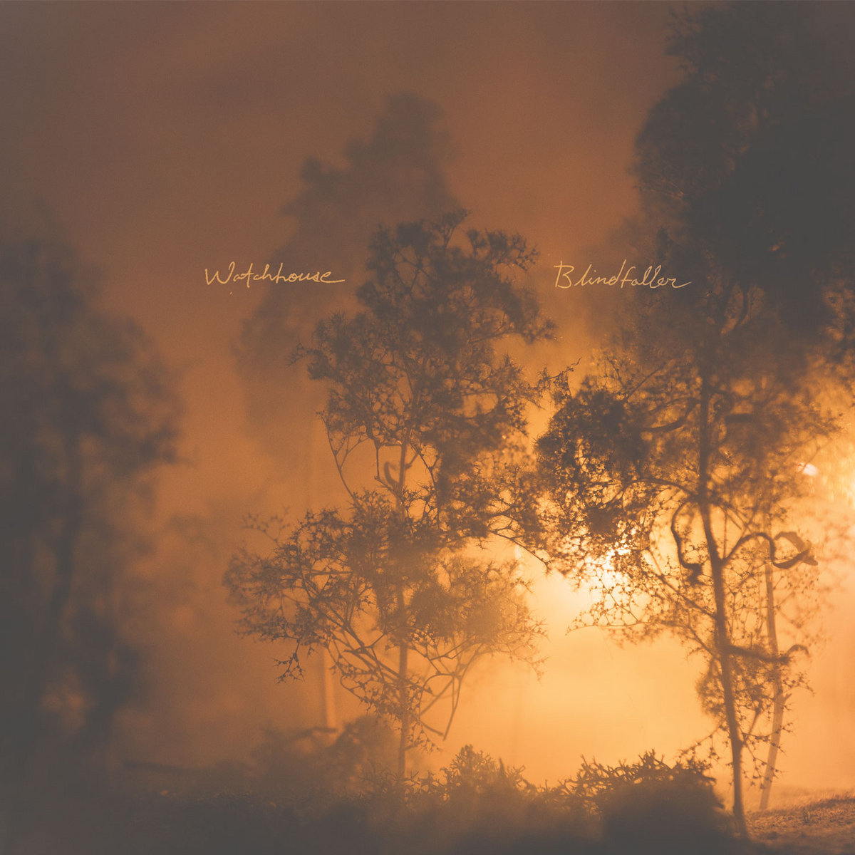 Blindfaller (2016) album cover